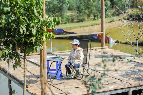 Devenez expert en data visualisation avec power bi en 5 semaines