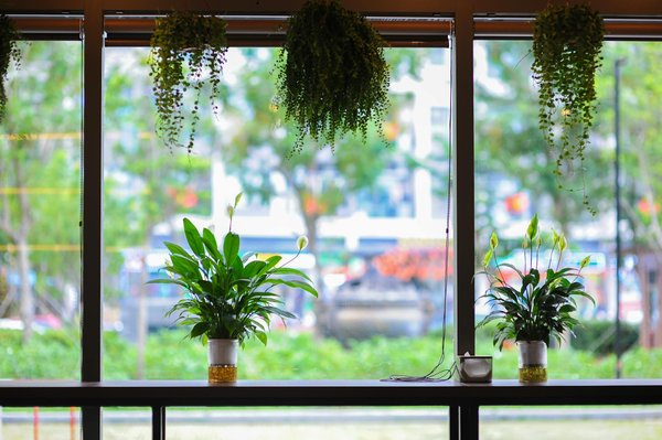 Journal des résidents d'ehpad : un outil de lien familial personnalisé