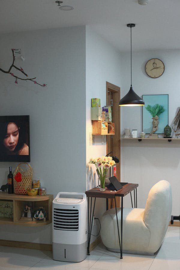 Guide complet du deshumidificateur Delonghi DD SX220 pour une maison saine